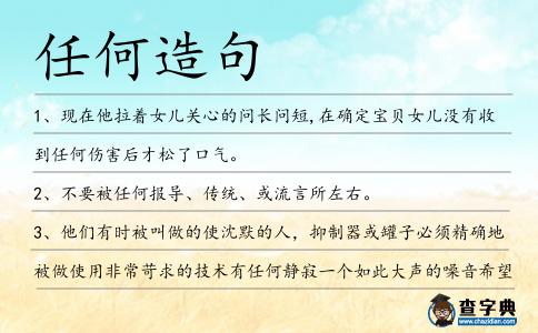 任何造句