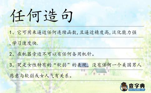 任何造句