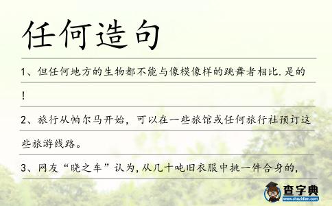 任何造句