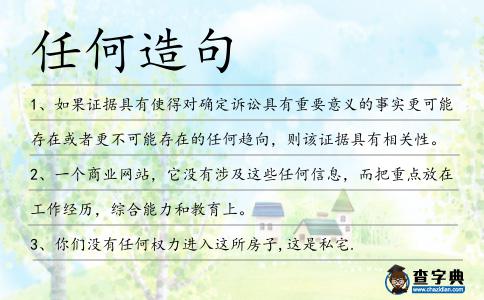 任何造句