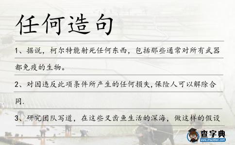 任何造句