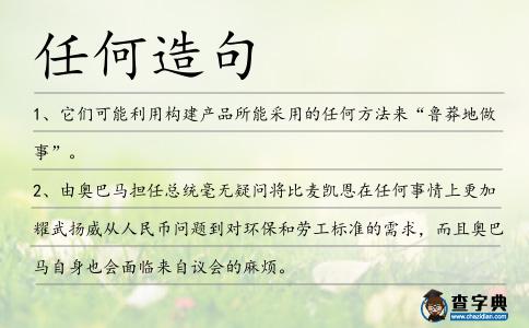 任何造句