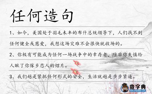 任何造句