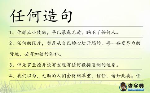 任何造句