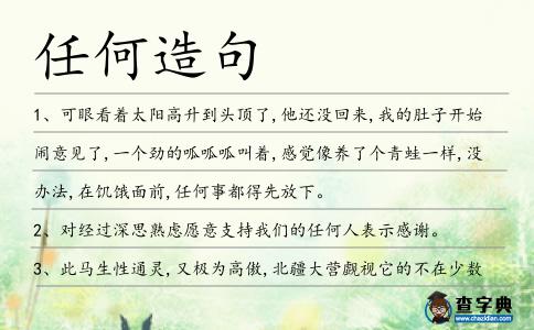 任何造句