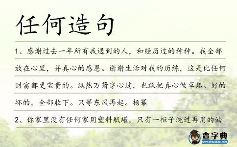 任何造句