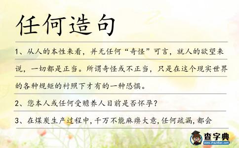 任何造句