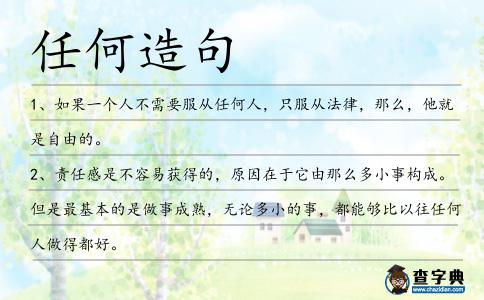 任何造句