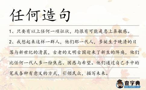 任何造句