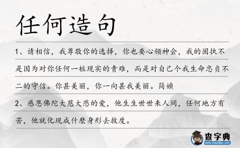 任何造句