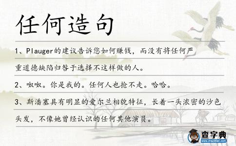 任何造句