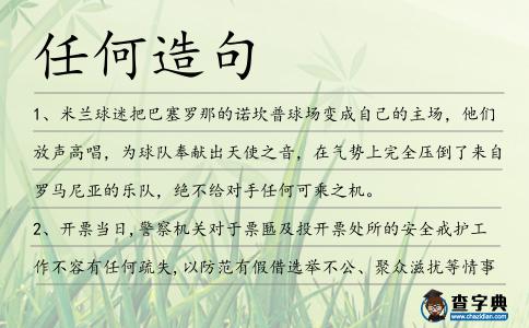 任何造句