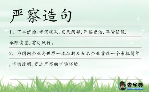 嚴(yán)察造句
