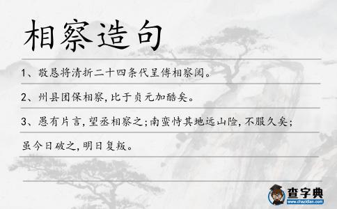 相察造句