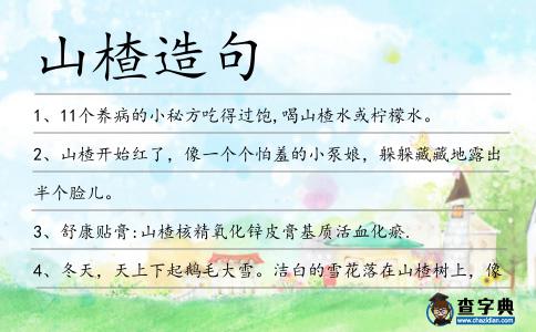 山楂造句