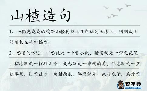 山楂造句