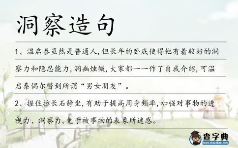 洞察造句