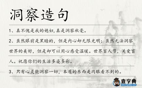 洞察造句