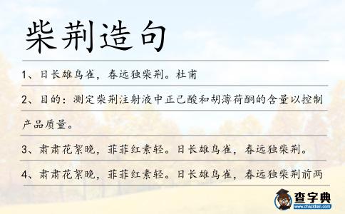 柴荊造句