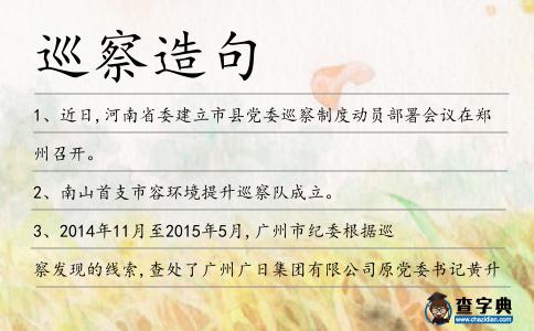 巡察造句