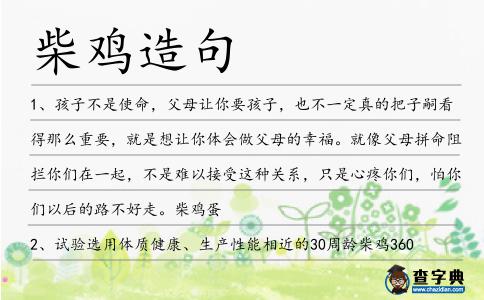 柴雞造句
