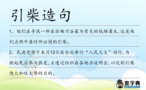 引柴造句