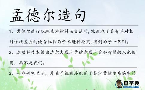 孟德爾造句