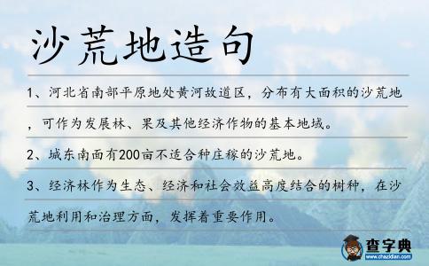 沙荒地造句