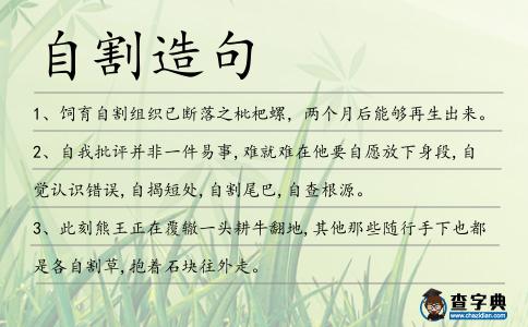 自割造句