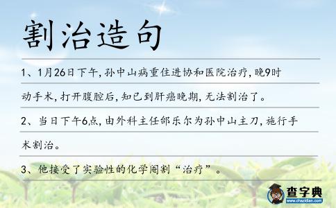 割治造句
