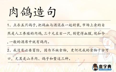 肉鴿造句