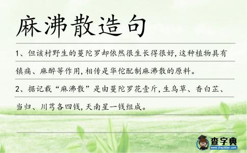 麻沸散造句