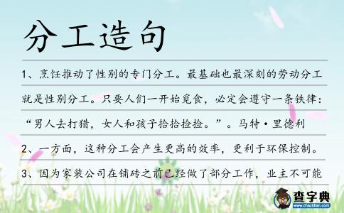 分工造句