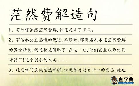 茫然費解造句