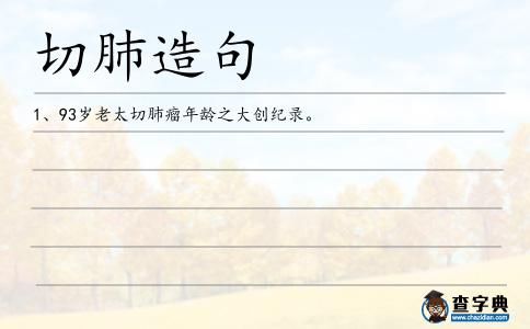 切肺造句