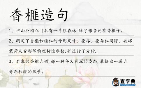 香榧造句