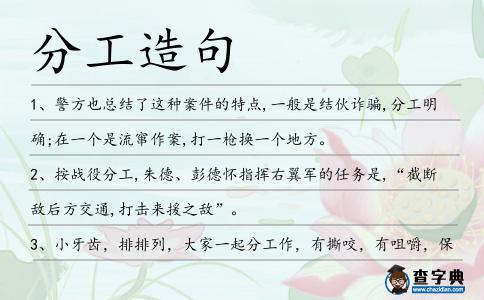 分工造句
