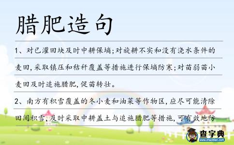 臘肥造句