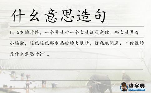什幺意思造句