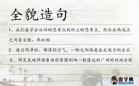 全貌造句