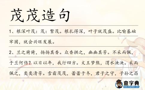 茂茂造句