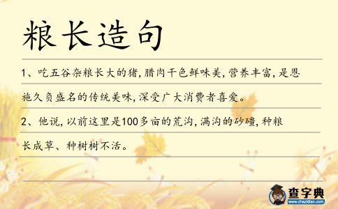 糧長造句