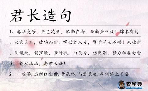 君長造句