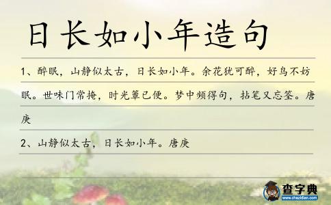 日長如小年造句