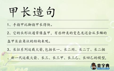 甲長造句