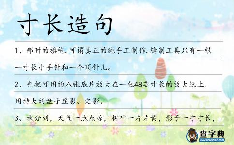 寸長造句