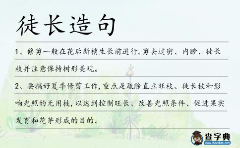 徒長(zhǎng)造句