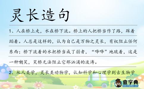 靈長(zhǎng)造句