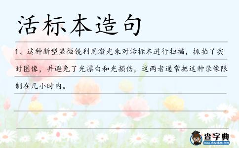 活標本造句