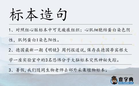 標(biāo)本造句